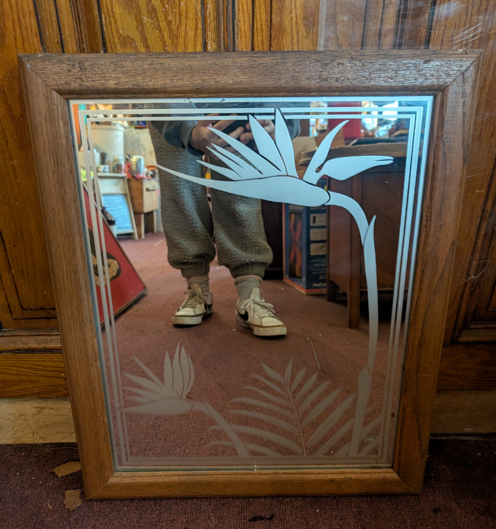 Birds of Paradise Mirror